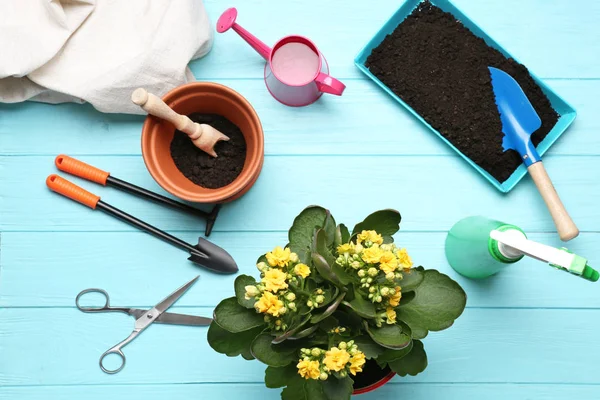 Beautiful flowers and gardener equipment — Stock Photo, Image