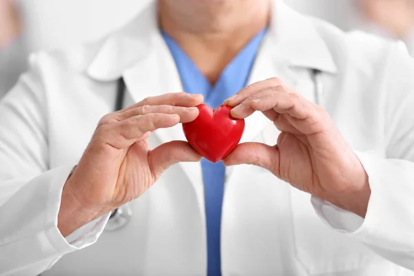 Female doctor with holding heart — Stock Photo, Image