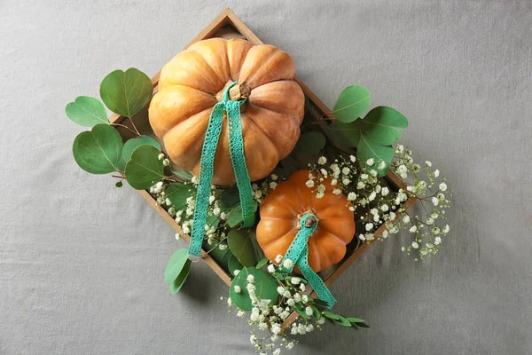 Pumpkin and gypsophila in wooden box — Stock Photo, Image