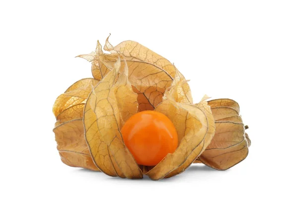 Physalis, isolato su bianco — Foto Stock