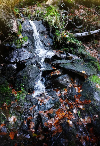 Cachoeira da floresta dos Cárpatos — Fotografia de Stock