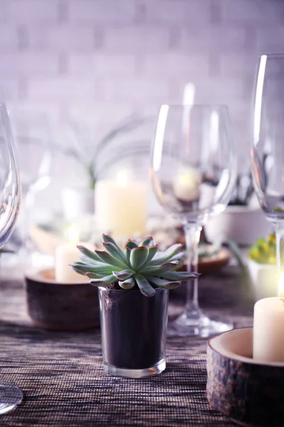 Table served with succulents — Stock Photo, Image