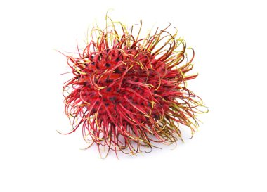 Sulu egzotik rambutan