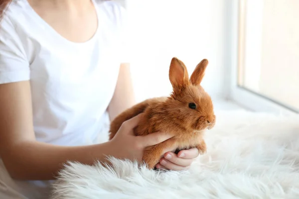 Menina segurando pequeno coelho — Fotografia de Stock