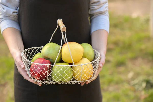 Manos sosteniendo cesta con frutas —  Fotos de Stock