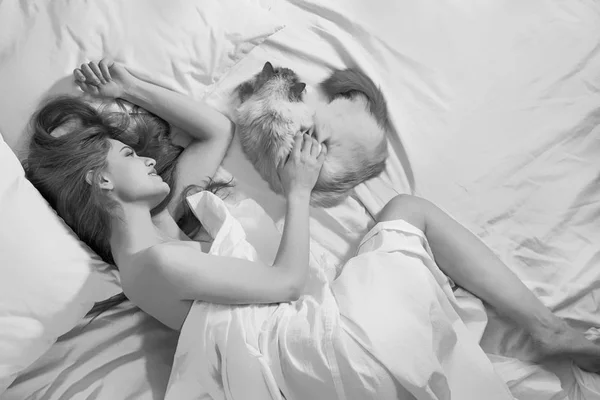 고양이와 함께 있는 아름다운 아가씨 — 스톡 사진