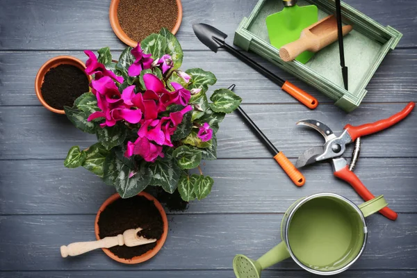 Lindas flores e equipamentos de jardineiro — Fotografia de Stock