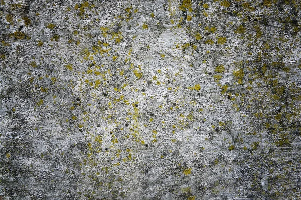 Texture grunge ciment — Photo