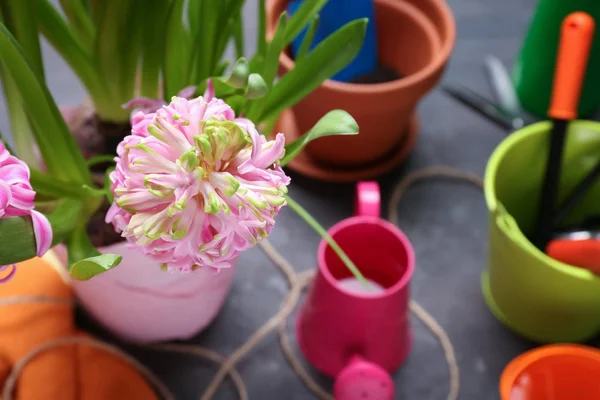 Schöne Blumen und Gartengeräte — Stockfoto