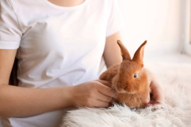 Kız holding küçük tavşan 