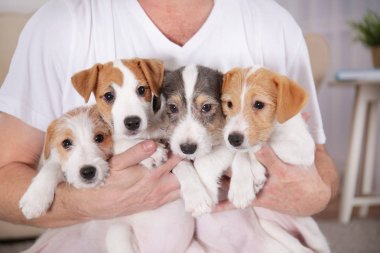 Sevimli köpek ile sahibi