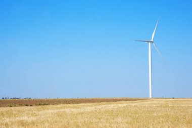 Yaz alanında yel değirmeni