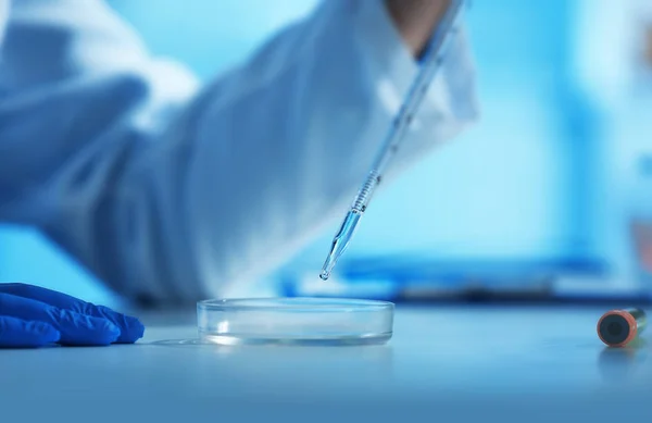 Scientist dropping sample into Petri dish — Stock Photo, Image