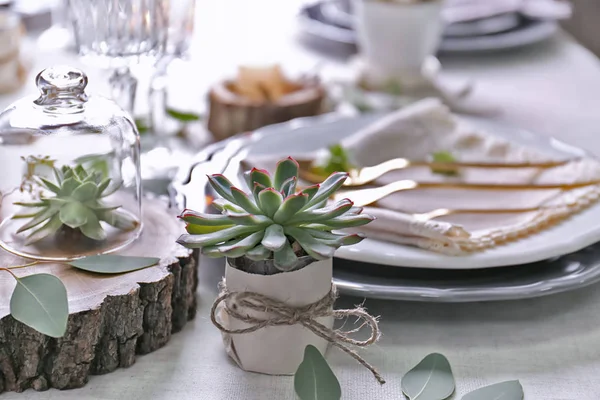 Table served with succulent plants — Stock Photo, Image