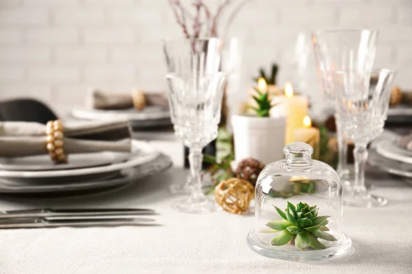 Tisch serviert mit Sukkulenten — Stockfoto