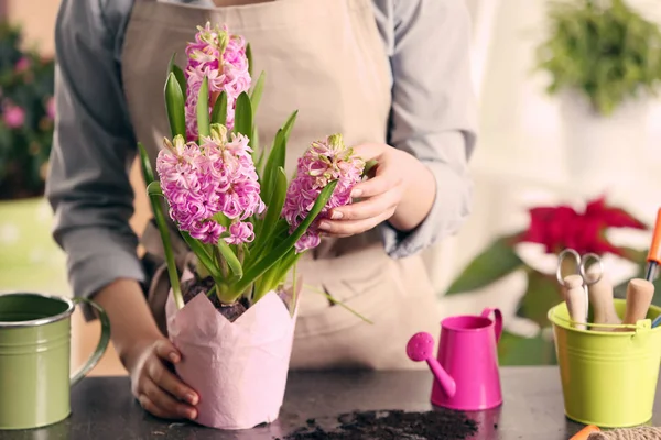 Giardiniere piantare fiori — Foto Stock