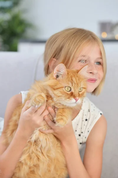 Kleines Mädchen mit roter, flauschiger Katze — Stockfoto