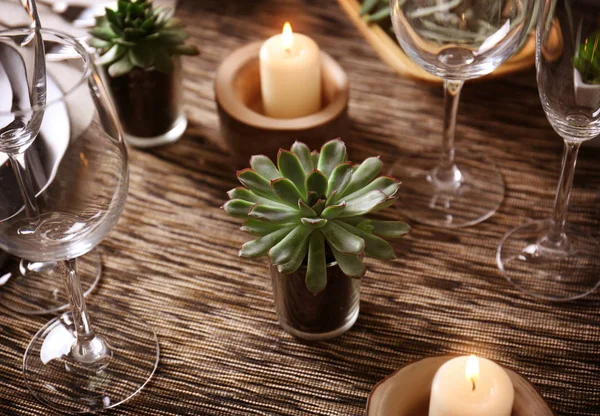 Succulents와 함께 테이블 — 스톡 사진