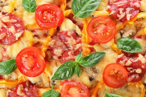 맛 있는 피자 페퍼로니, — 스톡 사진