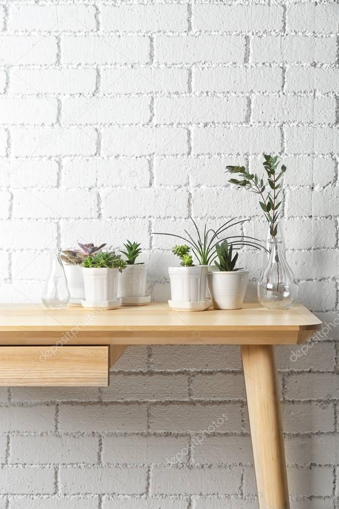 Succulents on wooden table