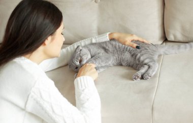 Genç kadın evde şirin kedi ile oynarken