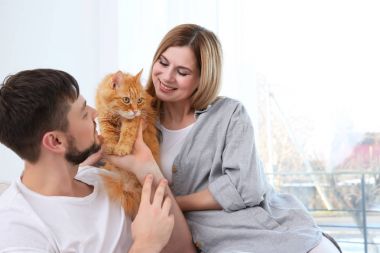  kedi ile genç Çift