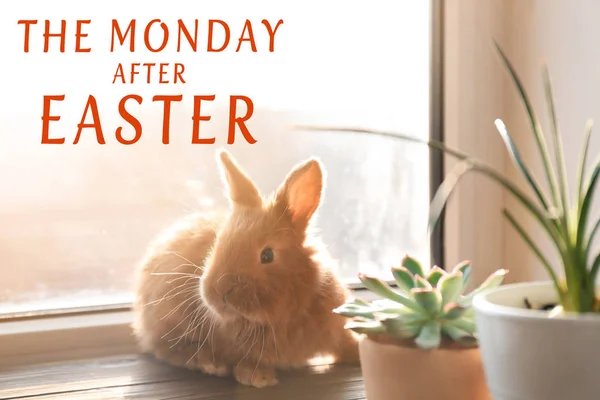 MONDAY AFTER EASTER text — Stock Photo, Image