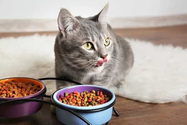 かわいい猫を食べる — ストック写真