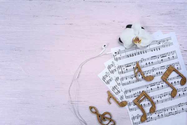 Samenstelling van muziek bladen en spa benodigdheden — Stockfoto