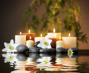Güzel spa kompozisyonu 
