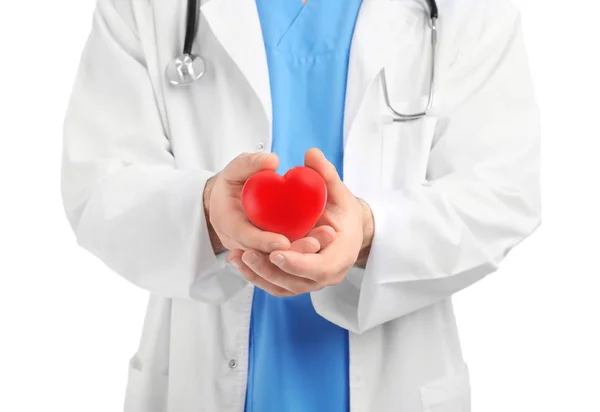 Médico jovem com pequeno coração vermelho no fundo branco, close-up. Conceito de cardiologia — Fotografia de Stock