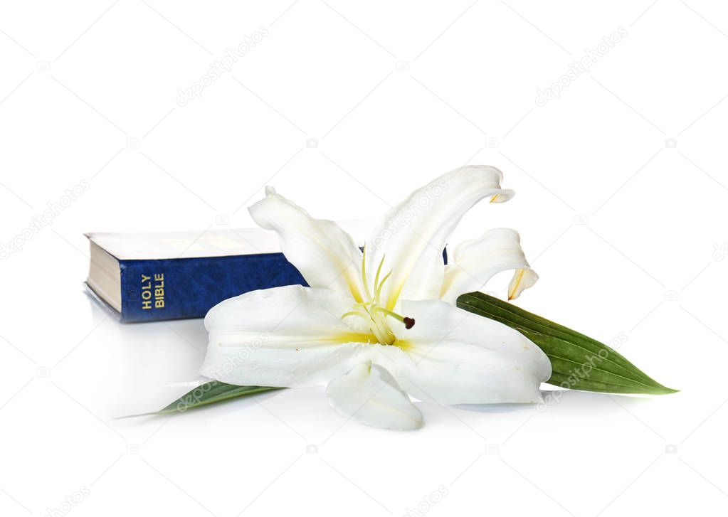 Holy Bible and Easter white lily