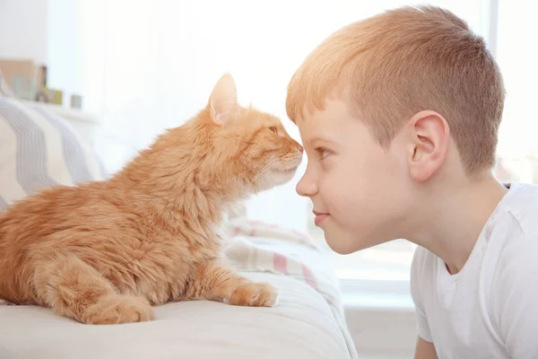 Liten pojke med söt katt hemma — Stockfoto