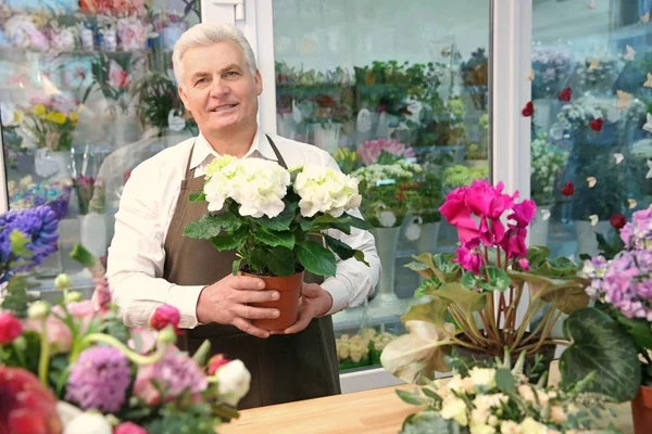 Floristería sosteniendo olla con flores — Foto de Stock