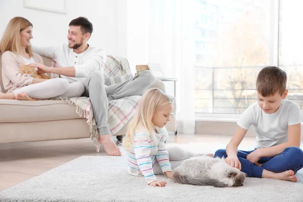 Ouders met kinderen en kat — Stockfoto