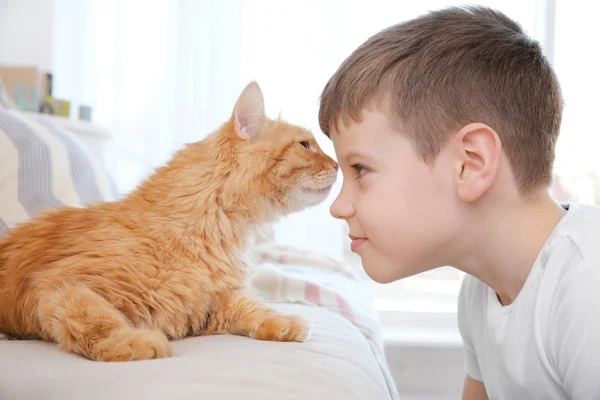 Schattige kleine jongen met kat — Stockfoto