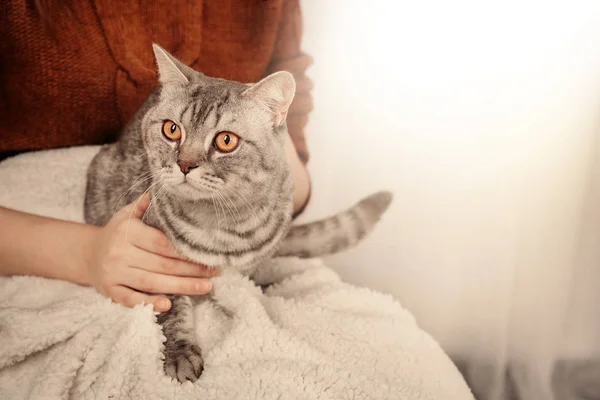 Женщина держит милую кошку — стоковое фото