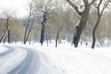 Kar lastik izleri yol kaplı