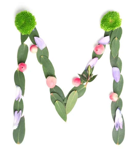 Letter M made of flowers and herbs — Stock Photo, Image