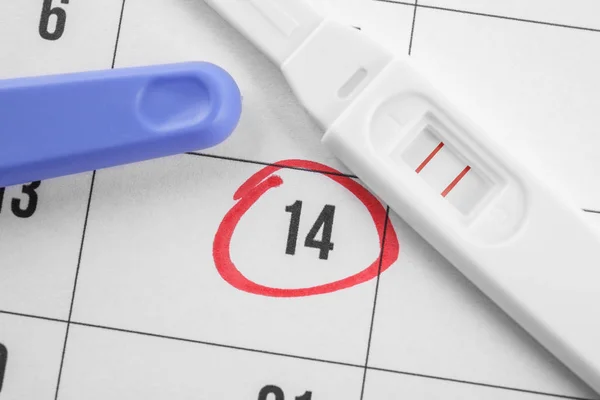 Pregnancy test and calendar — Stock Photo, Image