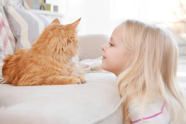 Liten flicka med röd katt — Stockfoto