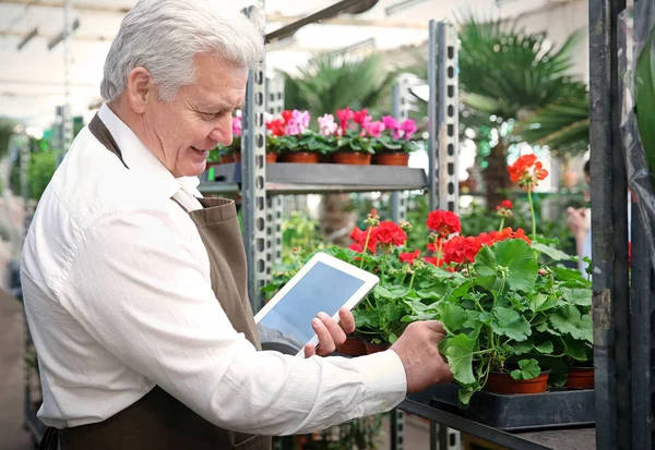 Florista masculino com tablet — Fotografia de Stock