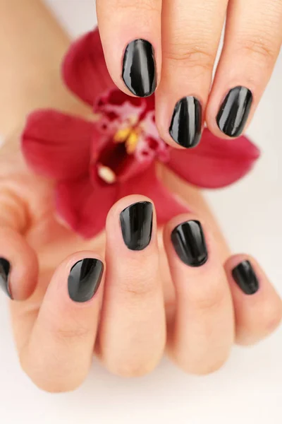 Nagelkunstkonzept. — Stockfoto