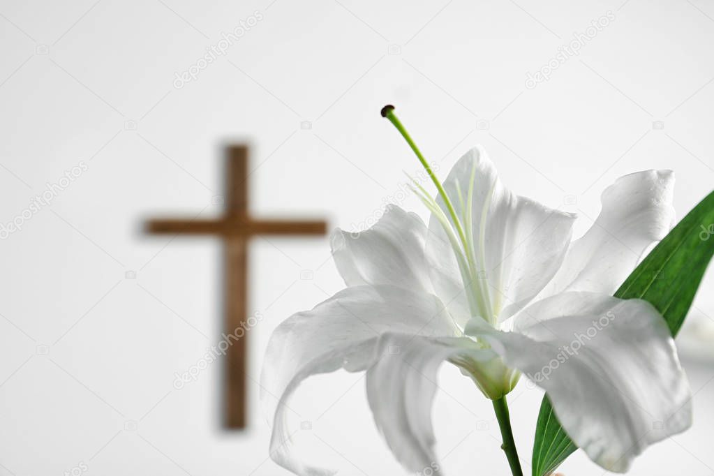 cross and White lily