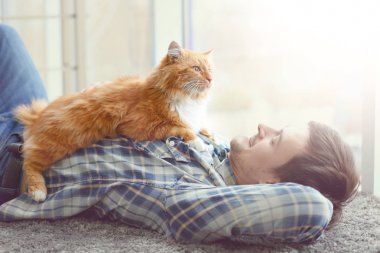 Şirin kedi kat pencere yanında yatan genç adamla