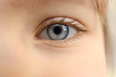 Küçük çocuk, closeup mavi gözlü sevgilisi