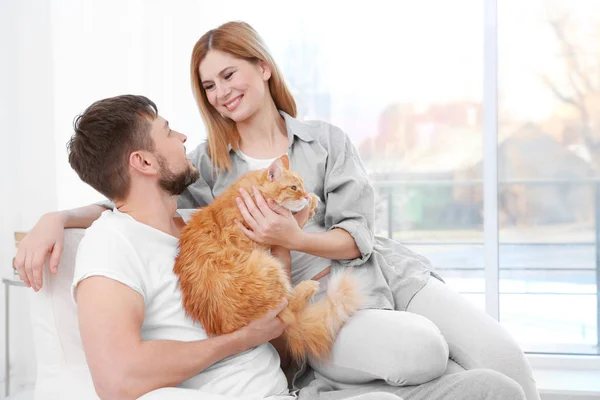 Pasangan muda dengan kucing — Stok Foto