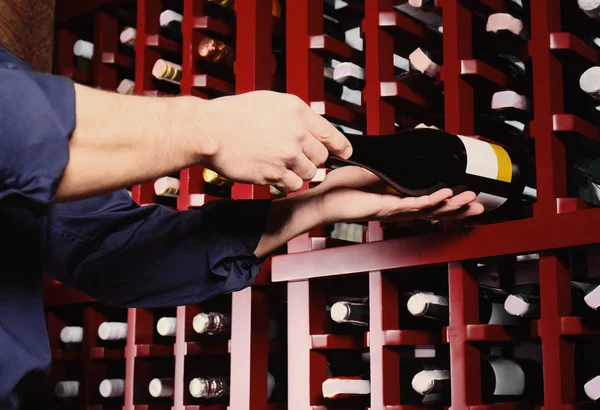 Sommelier masculino eligiendo vino —  Fotos de Stock