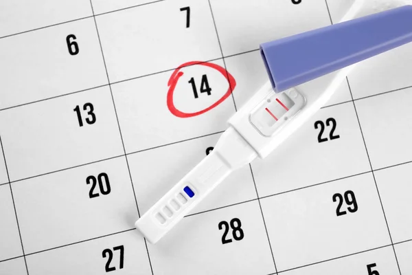 Pregnancy test and calendar — Stock Photo, Image