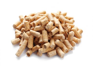 Kedi çöp yığını 